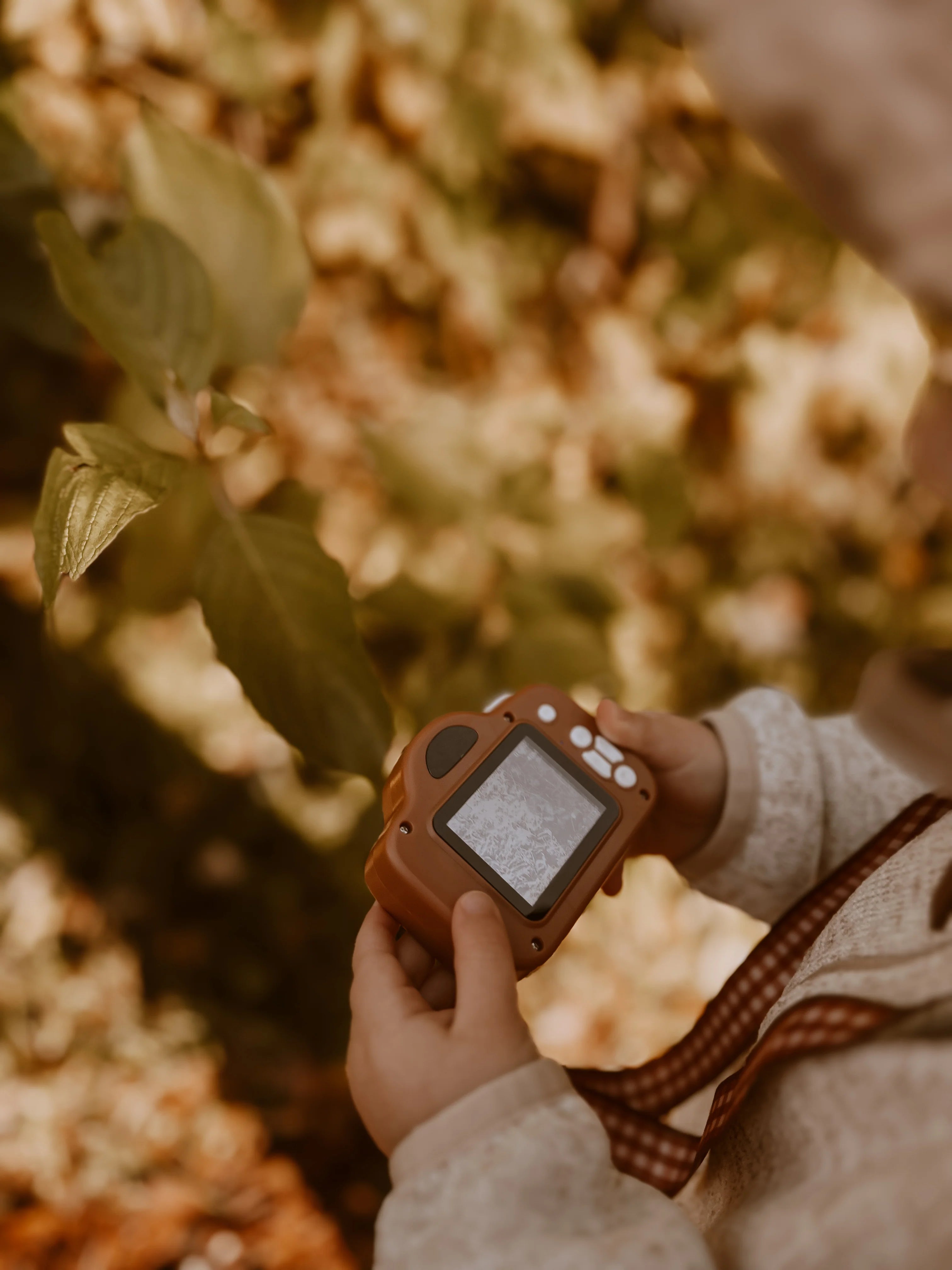 Appareil photo - Rouille - Petit jardin Mrs Ertha