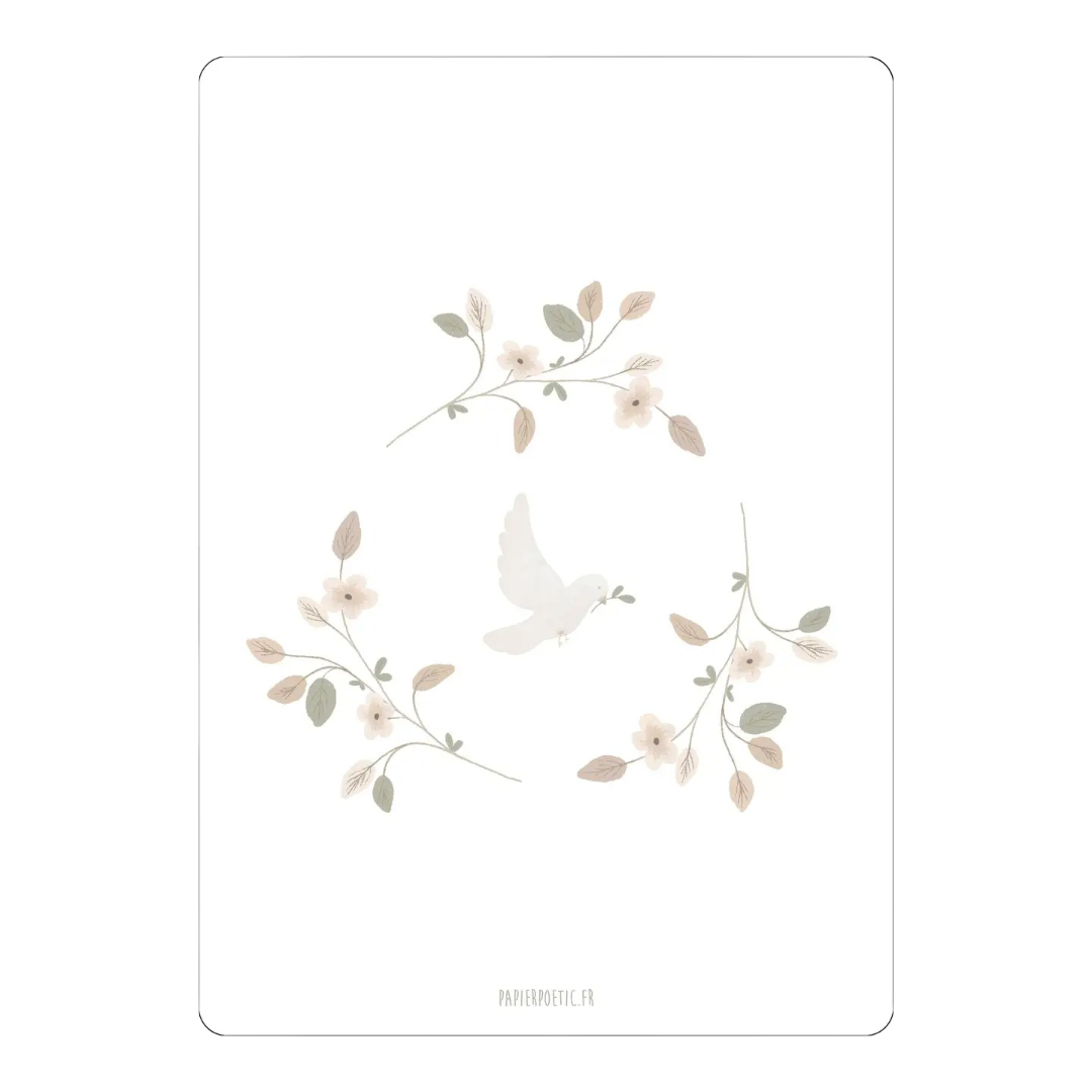 Carte - Colombe Papier Poetic
